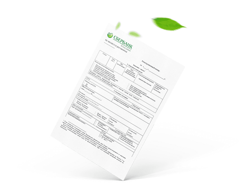 paper